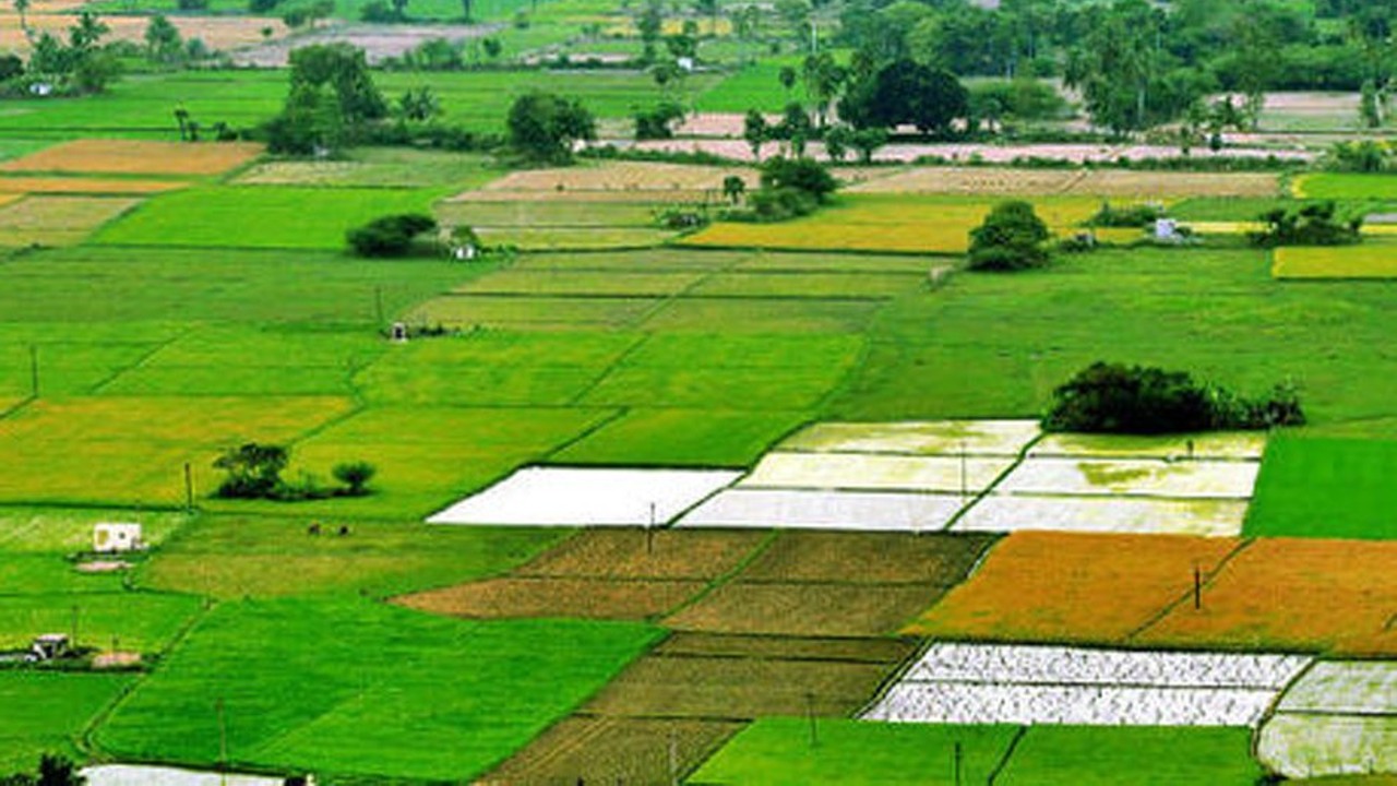 Agriculture Land Pahani