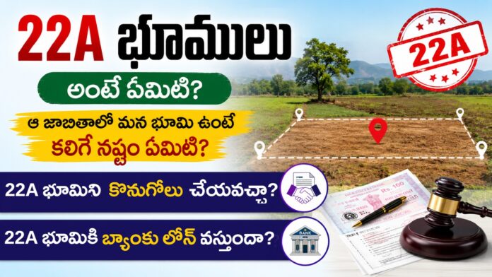 22A Land Details in Telugu